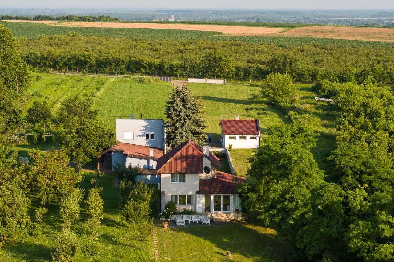 Danubio Residence Aljmaš Dış mekan fotoğraf